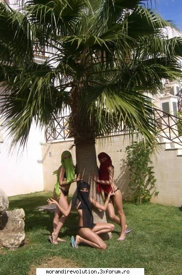 galerie foto tot spania.. Admin