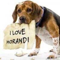 galerie foto place img asta  