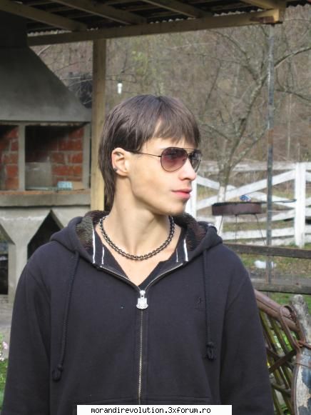 galerie foto pun poze