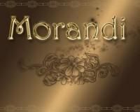 propunere (cititi rog) ..ma super idee ...dar asigur intereseze toti moare chiar daca timp foarte