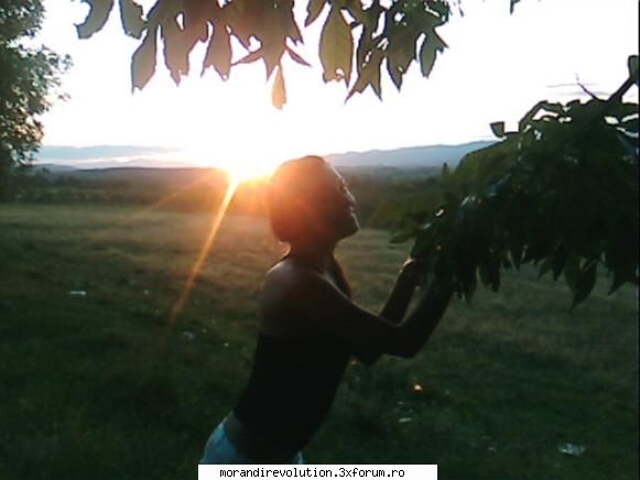 mirela   buna Membru Morandi