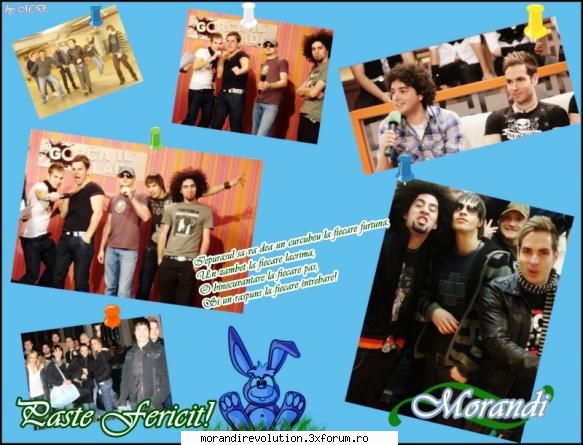 galerie foto scris: