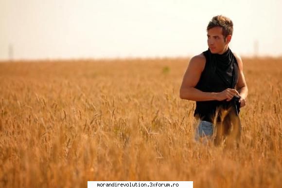 galerie foto savarina1 scris:and more