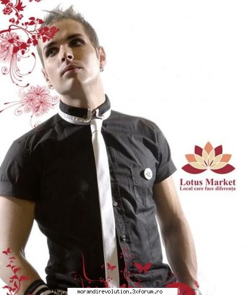 galerie foto love the answer