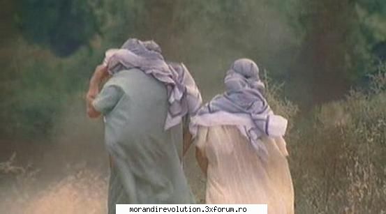 morandi fara raul chriss cei crai...cu spatele