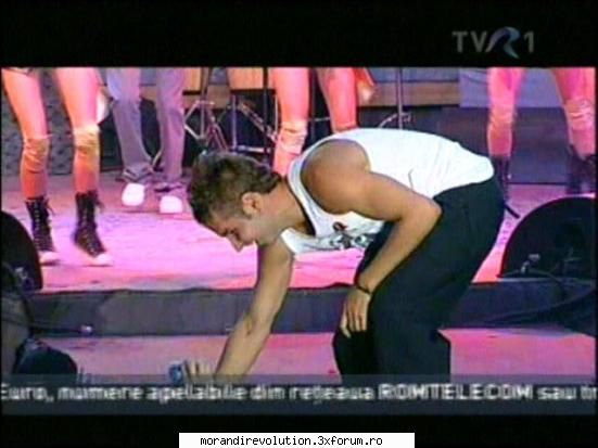 galerie foto pune capcane