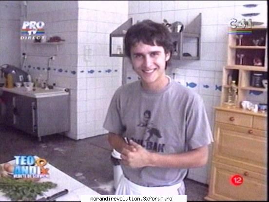 animal bucatarie animal x))))