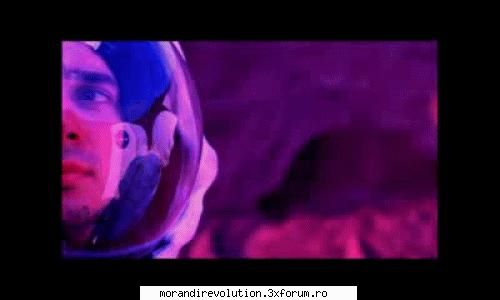 Gifs - delia_morandi - Fan stuff