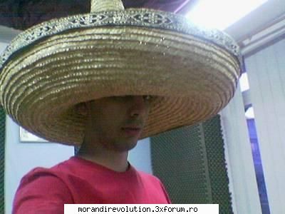 SIMPLU - toooot el LOOOOOOOOOOOOOOOOOOOOOOOOOOOOOOOOOL - Bands